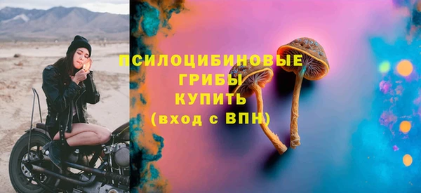 стаф Коряжма