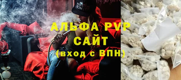 стаф Коряжма