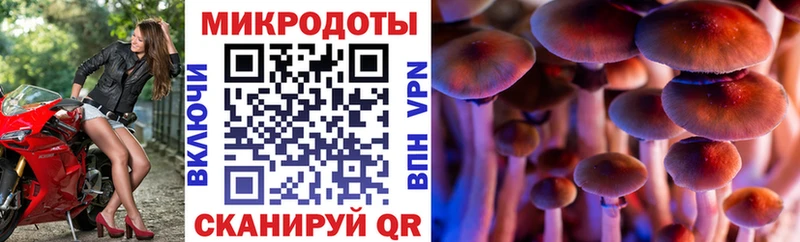 Псилоцибиновые грибы прущие грибы  Купить закладки  Горбатов 