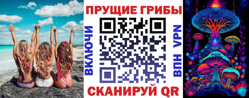 Псилоцибиновые грибы Cubensis Горбатов
